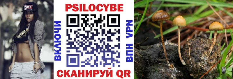 Псилоцибиновые грибы мухоморы  Саратов 
